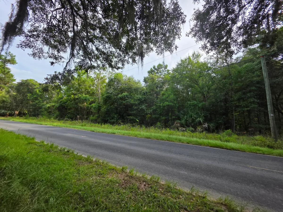 7929 Legare Road, Edisto Island, SC 29438 - #1