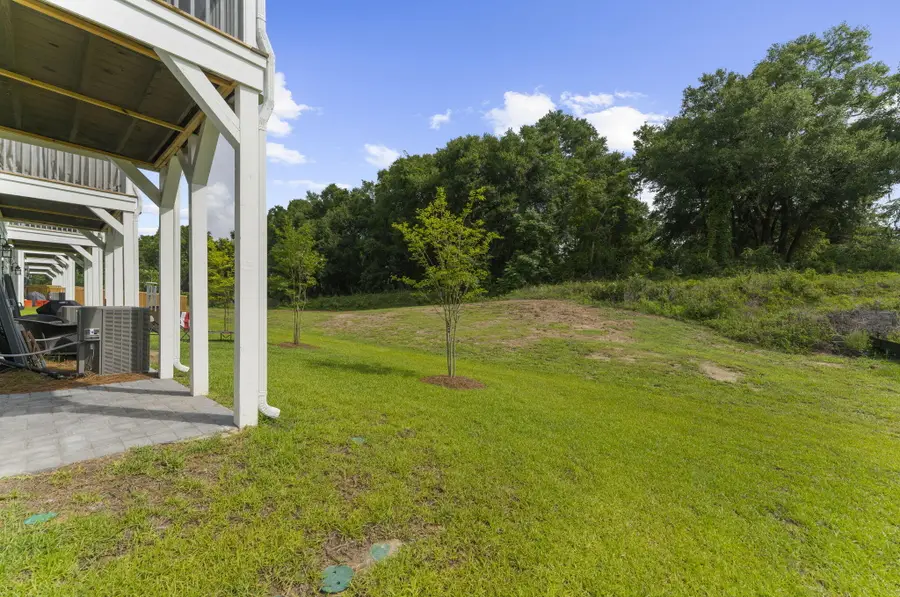422 Katies Scenic Court, Charleston, SC 29492 - #3