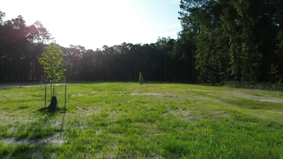 379 Fish Road Estates Lane, Ridgeville, SC 29472 - #2