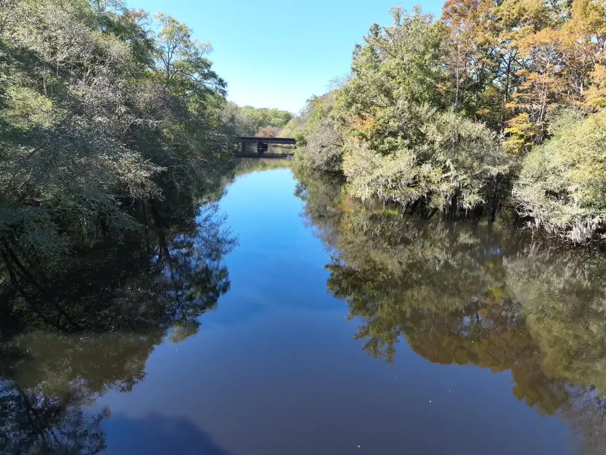 Tbd Martin Luther King Junior Avenue, Kingstree, SC 29556 - #1