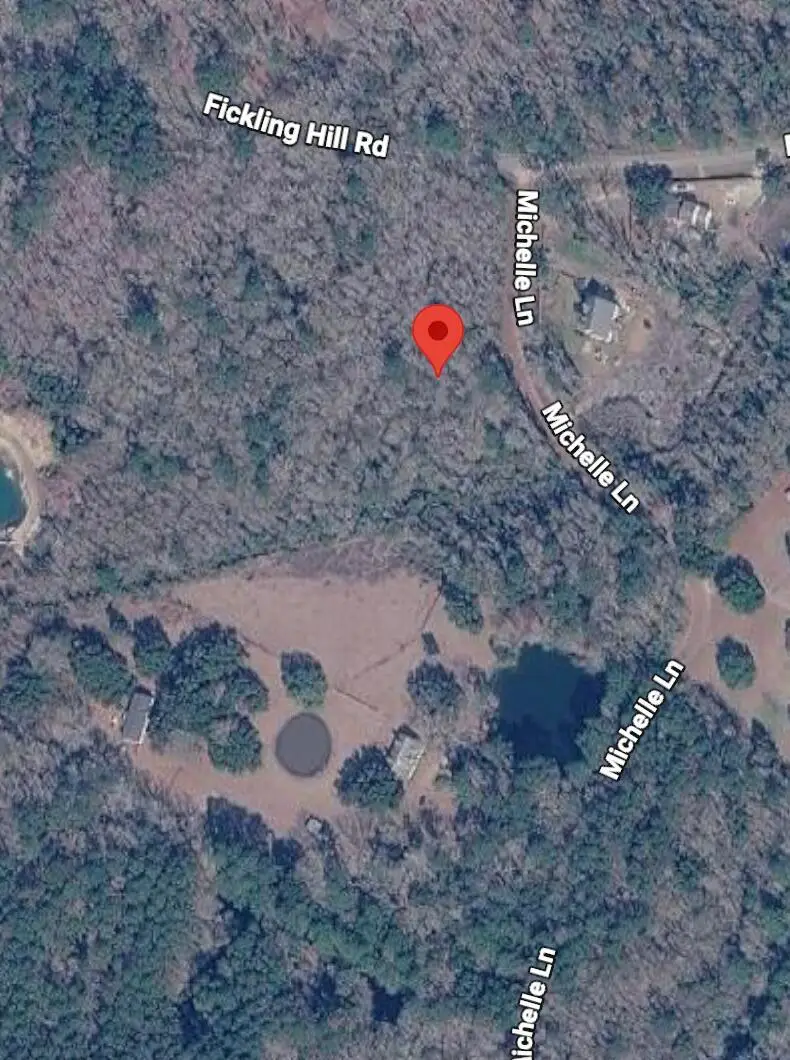 1038 Michelle Lane, Johns Island, SC 29455 - #1