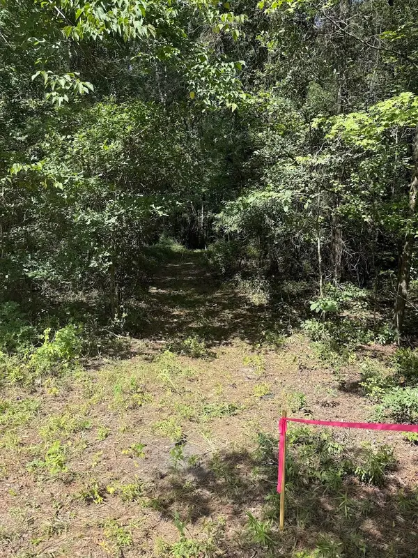 1 Parkers Ferry Road, Adams Run, SC 29426