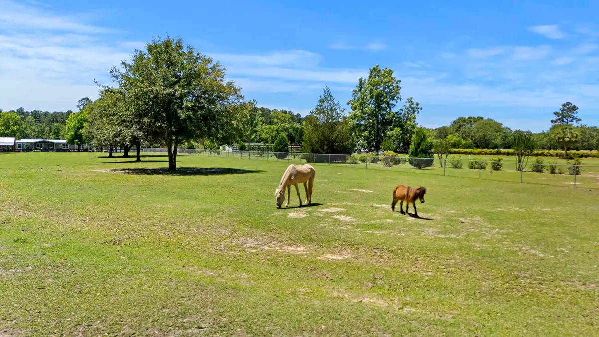 00 Campbell Road, Ridgeville, SC 29472 - #1