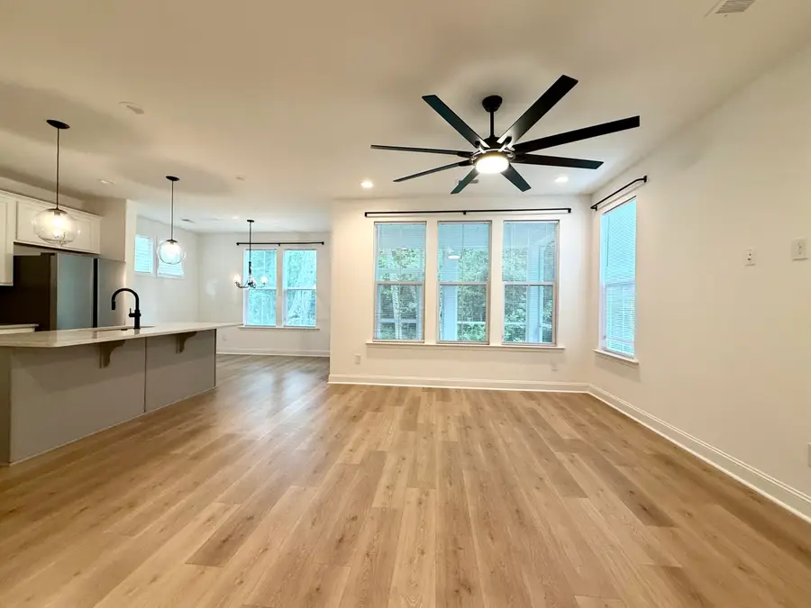 251 Claret Cup Way, Charleston, SC 29414 - #3
