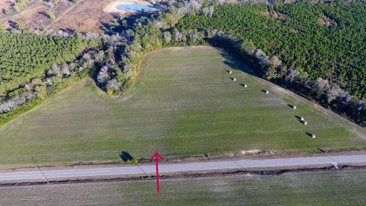 0 Rocks Pond Road #Lot S, Eutawville, SC 29048 - #1