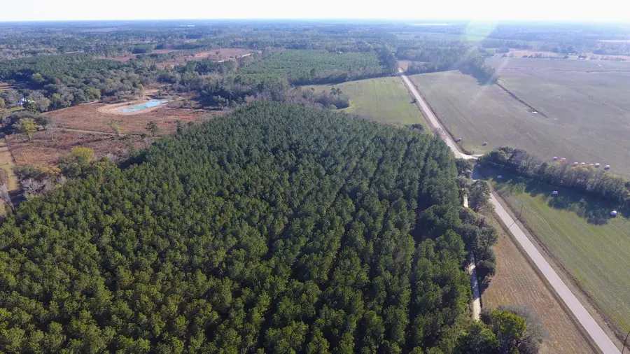 0 Rocks Pond Road #Lot L, Eutawville, SC 29048 - #2
