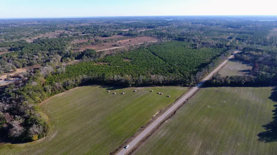 0 Rocks Pond Road #Lot W, Eutawville, SC 29048 - #2