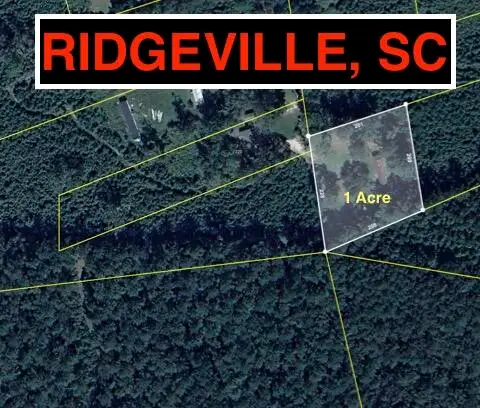217 Joe Felder Road, Ridgeville, SC 29472