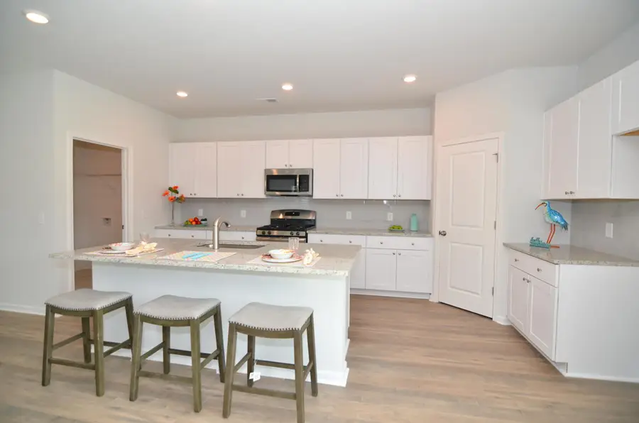 333 Matuskovic Drive, Charleston, SC 29414 - #3