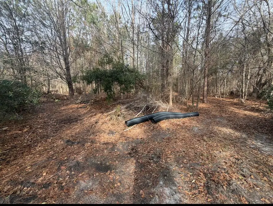 1547c Pine Valley Drive, Elgin, SC 29045 - #3