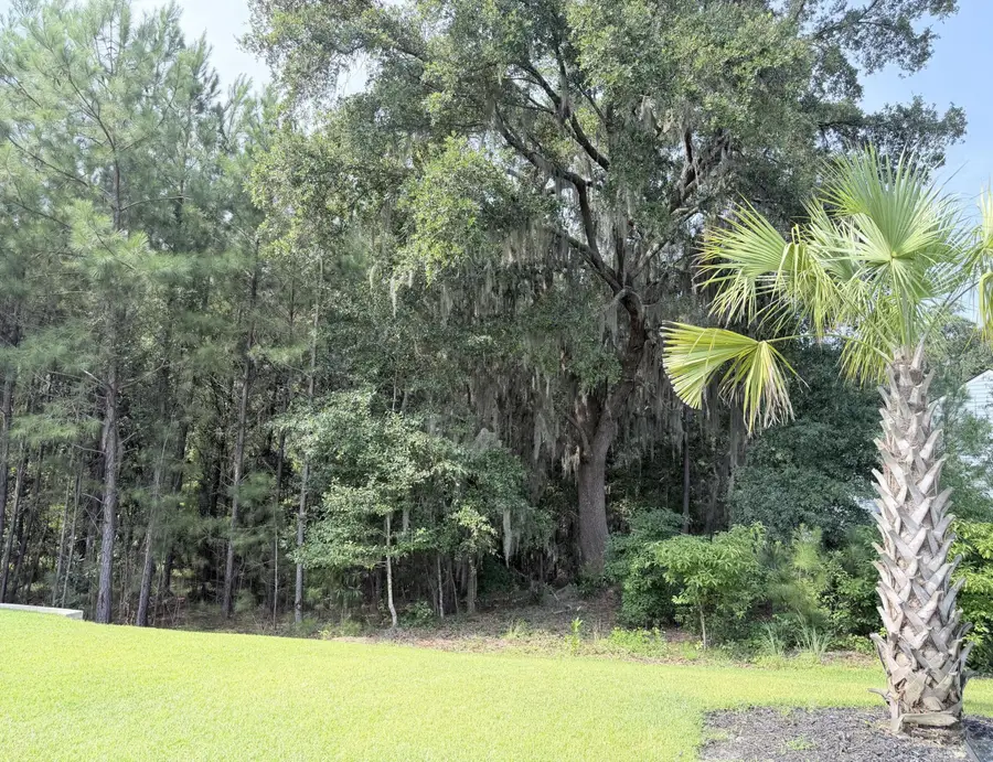 8020 Cheverie Court, Johns Island, SC 29455 - #3
