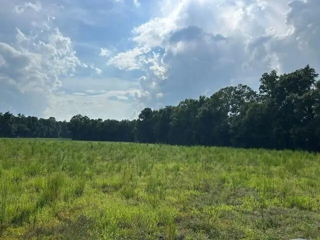Lot 1 7 Mile Road, Harleyville, SC 29448 - #1