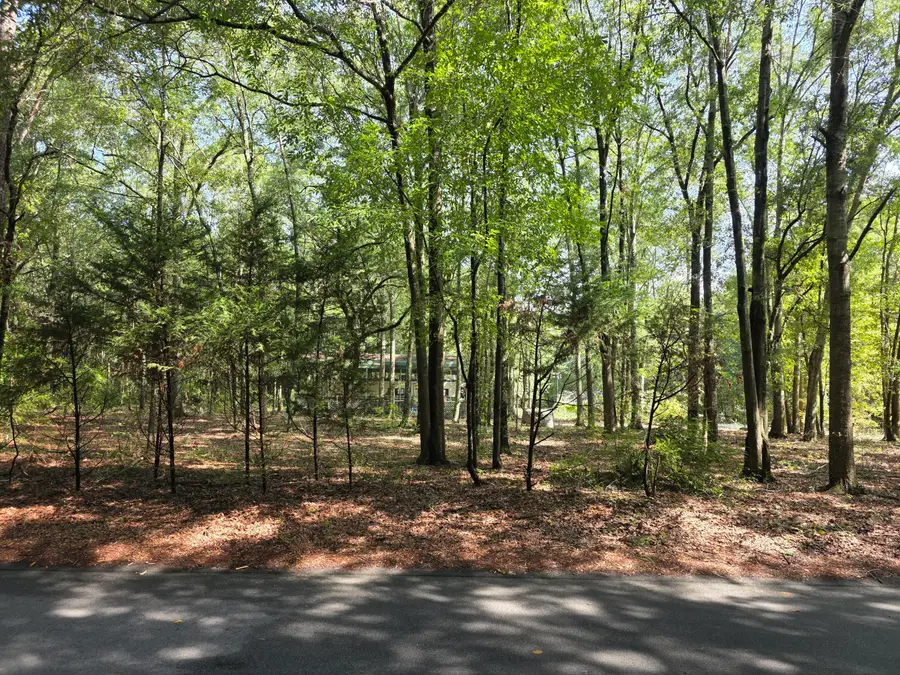 129 Knott Drive, Eutawville, SC 29048 - #3