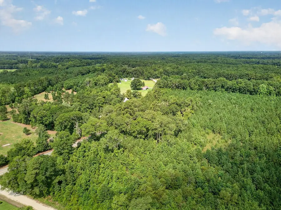 00 First Texas Road, Saint George, SC 29477 - #3
