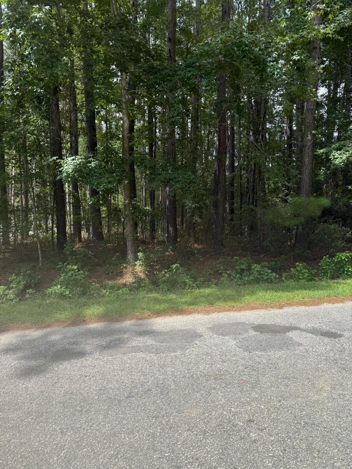 0 Mary Ellie Drive, Summerville, SC 29483 - #1