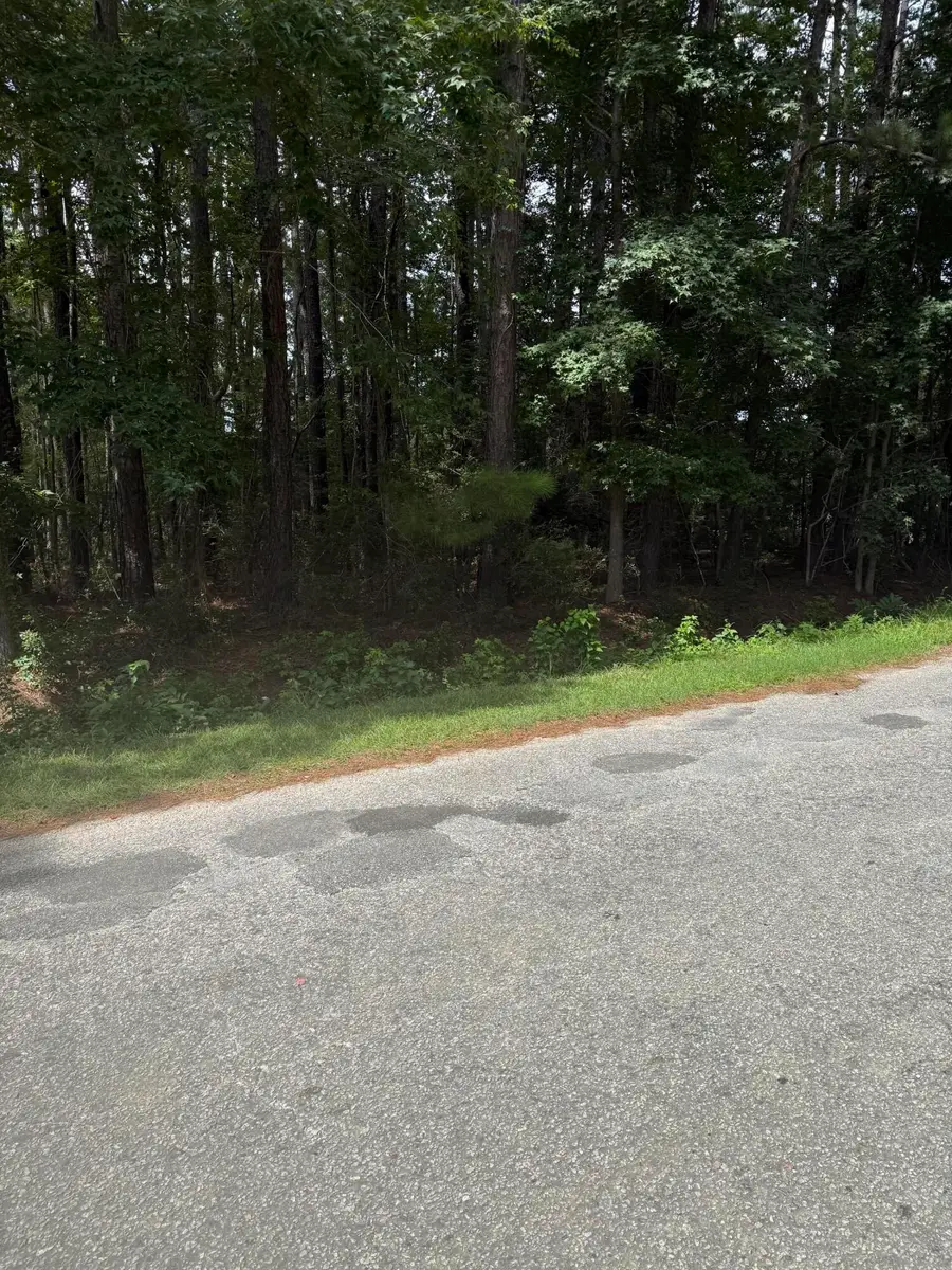 0 Mary Ellie Drive, Summerville, SC 29483 - #2