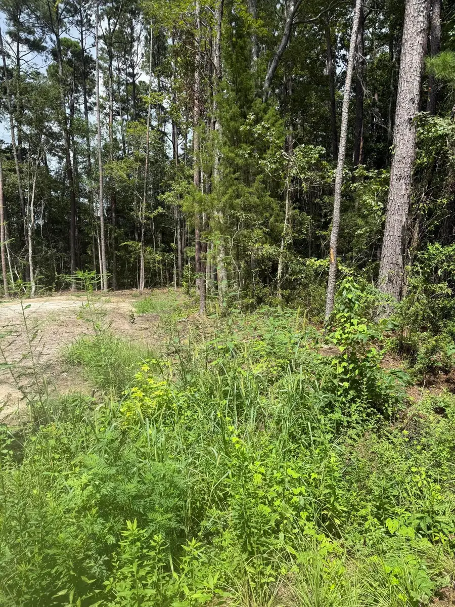 0 Mary Ellie Drive, Summerville, SC 29483 - #3