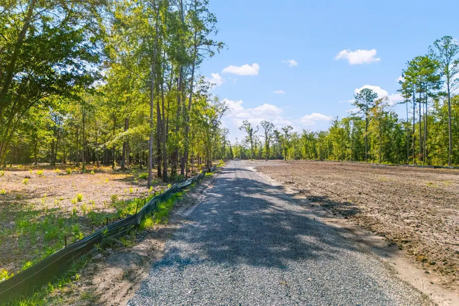 0 Raptor Trail #Lot 1, Ladson, SC 29456 - #3