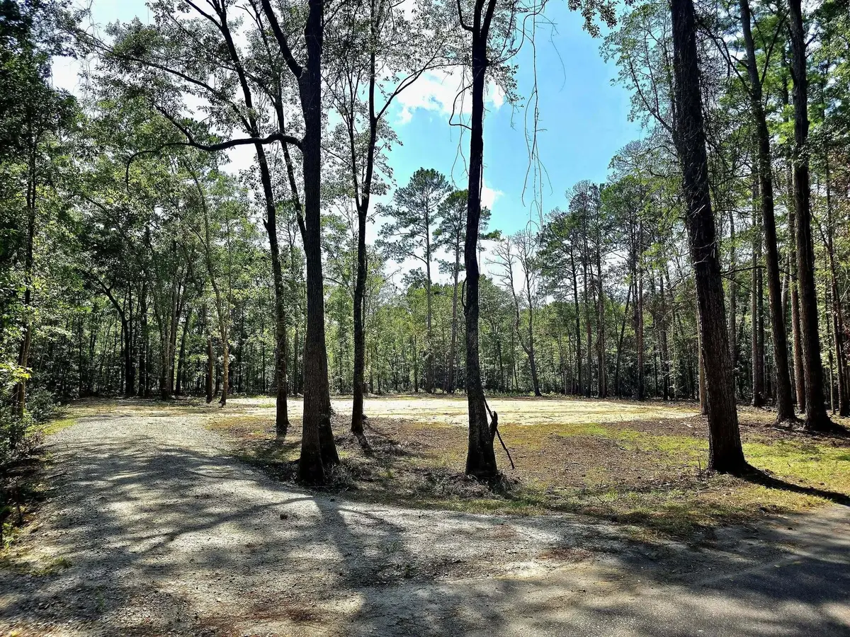 0 White Sands Road, Walterboro, SC 29488 - #1