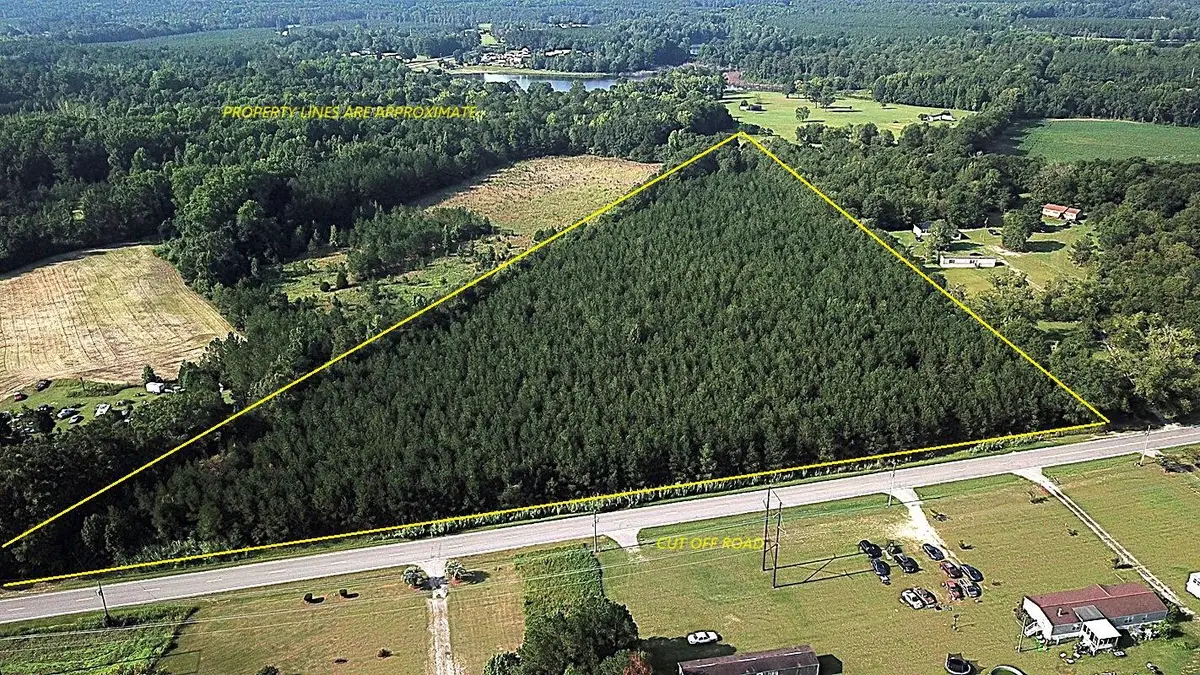 00 Cut Off Road, Orangeburg, SC 29115 - #1