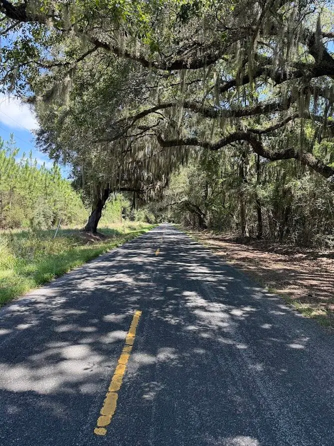 7817 Little Britton Road (lot A-1), Meggett, SC 29449 - #2