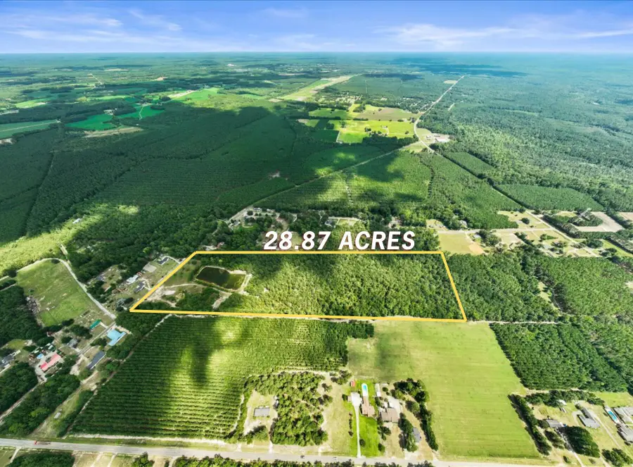 355 Mcclam Road, Cades, SC 29518 - #2