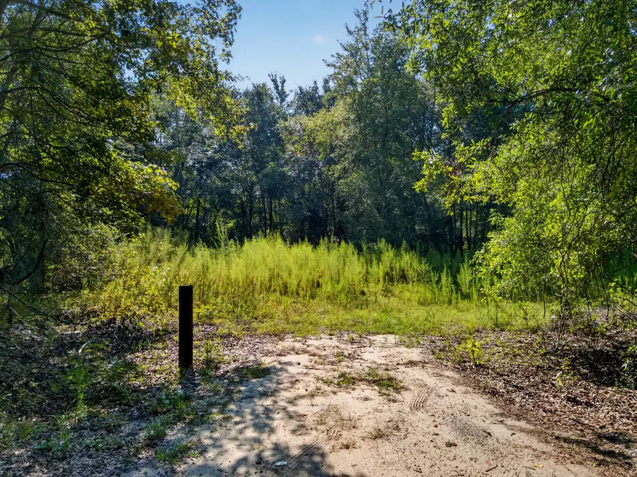 1218 Misty Ridge Lane, Walterboro, SC 29488 - #2