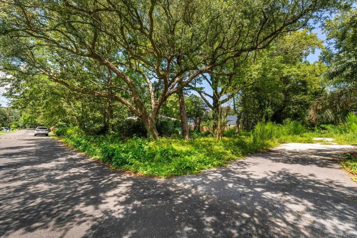 0 Lindberg Street #Lot 10a, Charleston, SC 29412 - #1