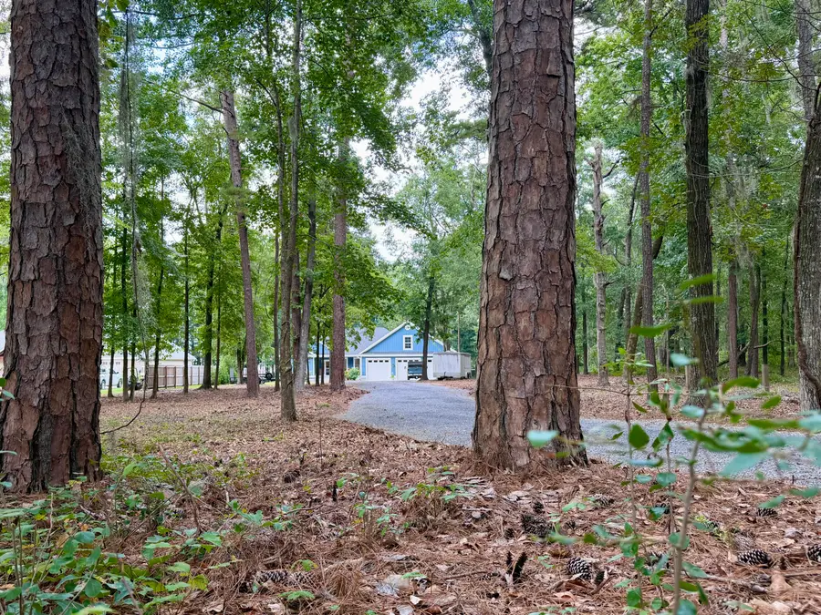 3 Hickory Landing Court, Elloree, SC 29047 - #3