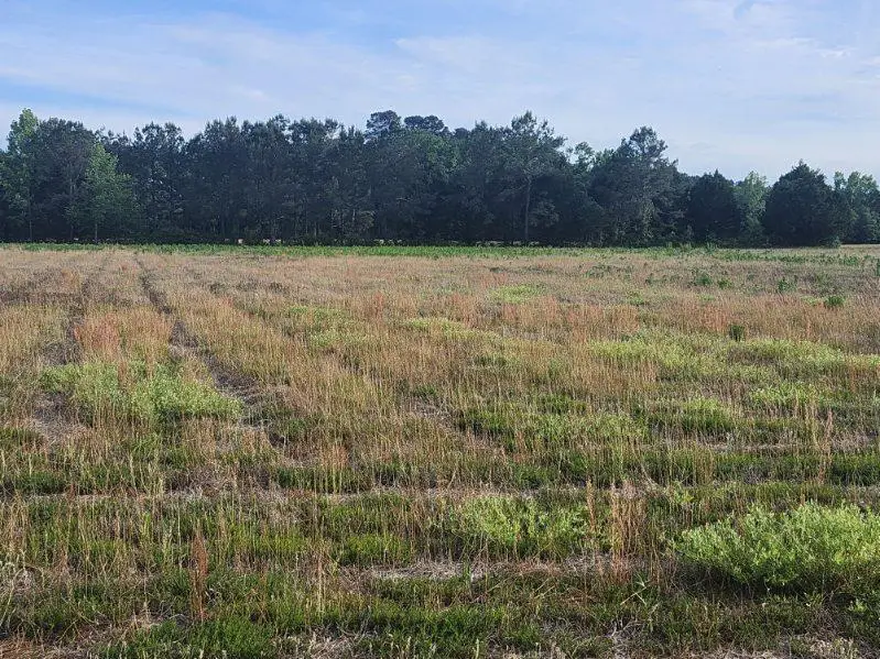 0 Broxton Bridge Road, Bamberg, SC 29003 - #1