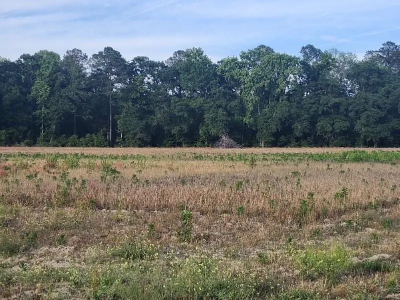0 Broxton Bridge Road, Bamberg, SC 29003 - #3