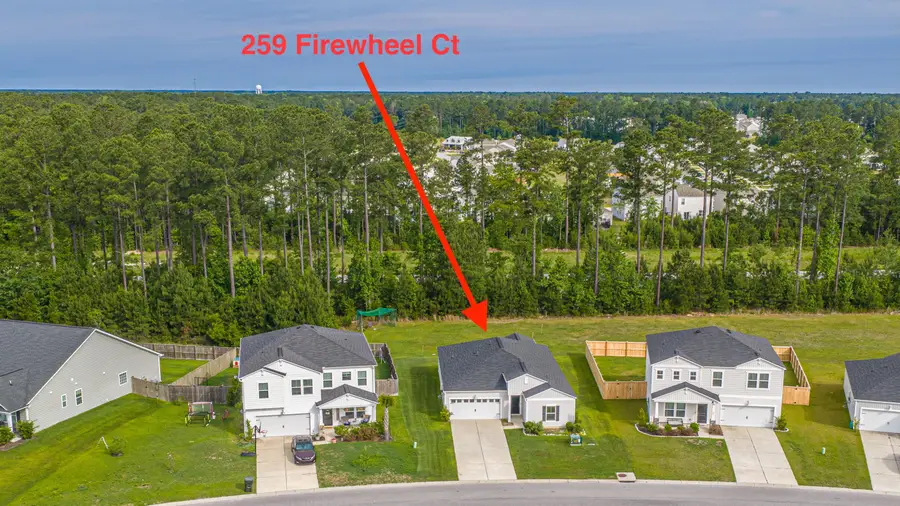 259 Firewheel Court, Summerville, SC 29486 - #3