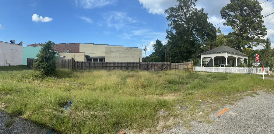 103 E George Street, Saint George, SC 29477 - #2