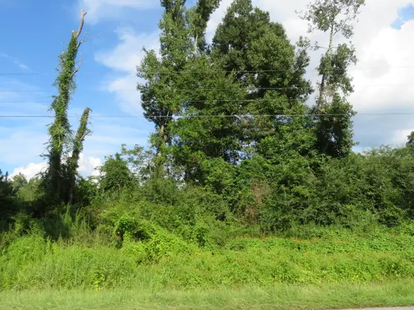 0 Hudson Road, Saint George, SC 29477
