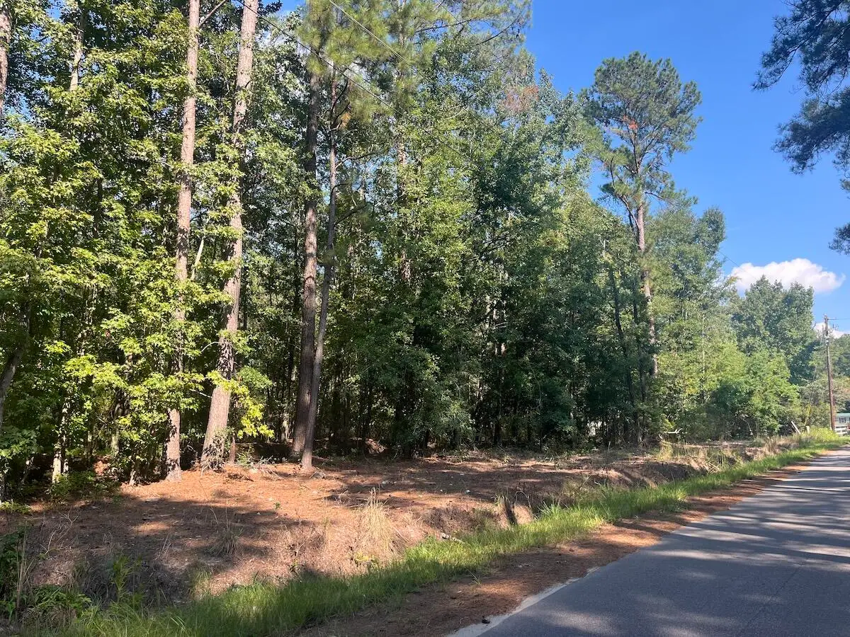 0 Fraser Street, Walterboro, SC 29488 - #1
