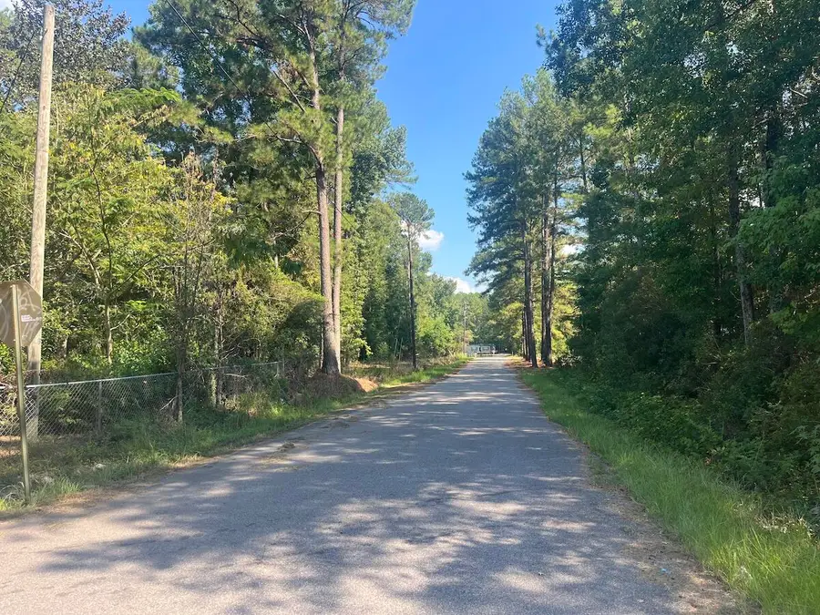 0 Fraser Street, Walterboro, SC 29488 - #2