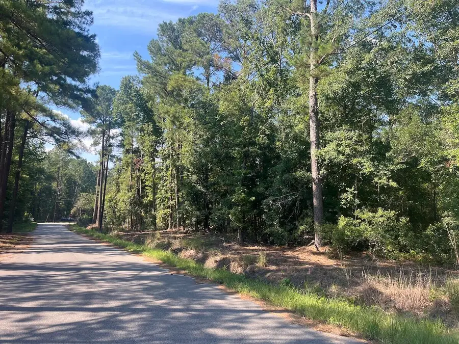 0 Fraser Street, Walterboro, SC 29488 - #3