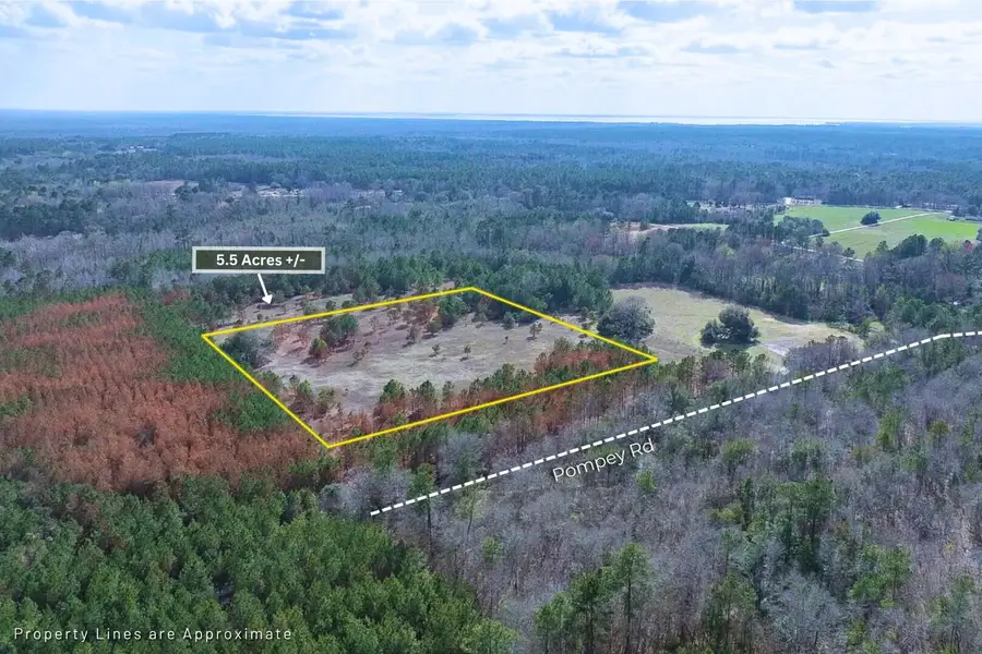 5 Pompey Road, Manning, SC 29102 - #3