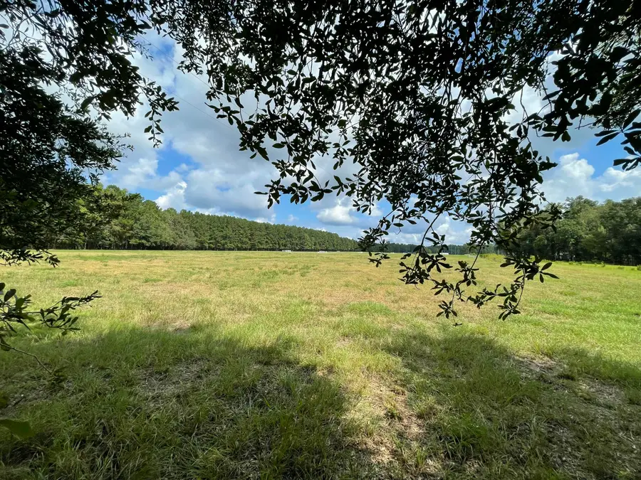 371 Austin Swamp Lane, Ridgeville, SC 29472 - #3