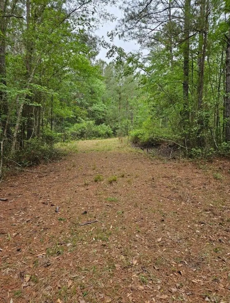 1300 Misty Ridge Lane, Walterboro, SC 29488 - #2