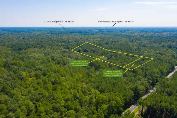 0 Dennis Britt Road, Saint George, SC 29477