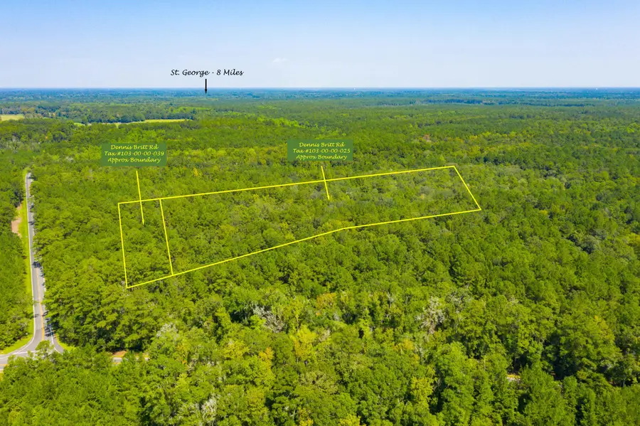 0 Dennis Britt Road, Saint George, SC 29477 - #3