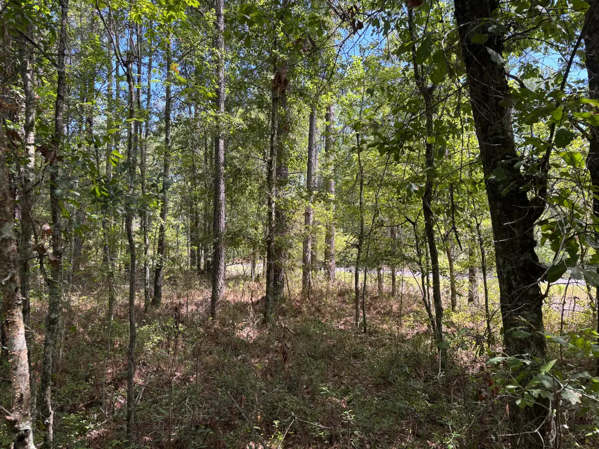 Tbd Red Oak Road, Cottageville, SC 29435 - #1