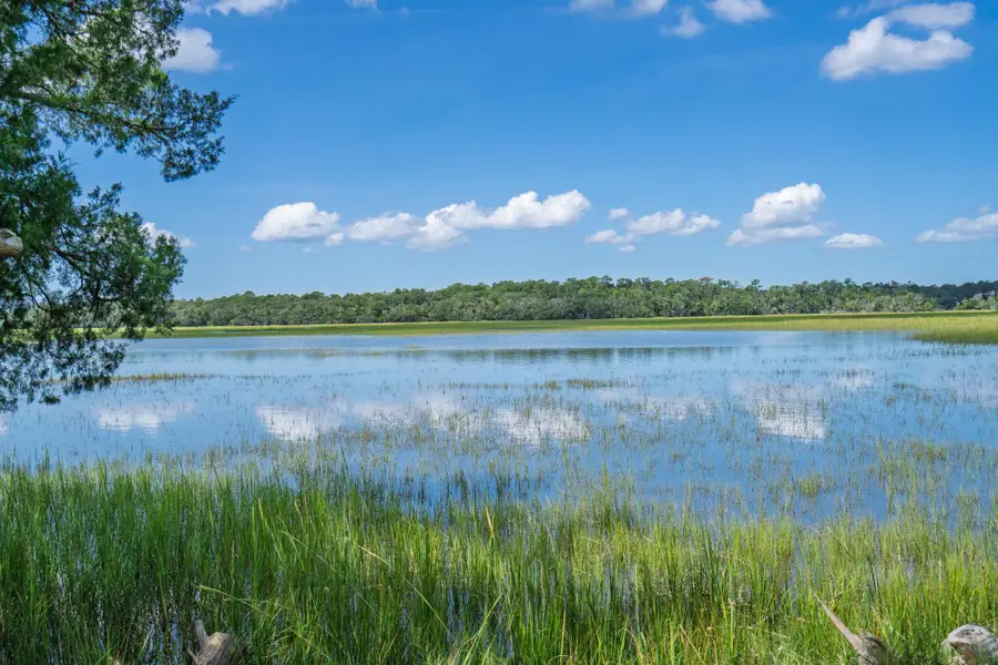 125 Jungle Road, Edisto Island, SC 29438 - #2