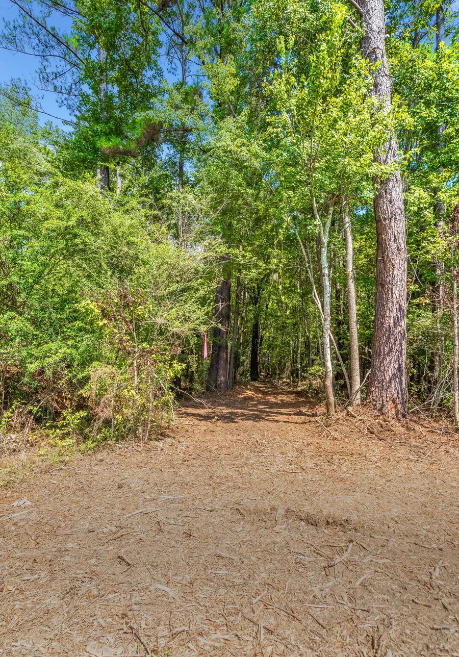 0 Campbell Road, Ridgeville, SC 29472 - #3