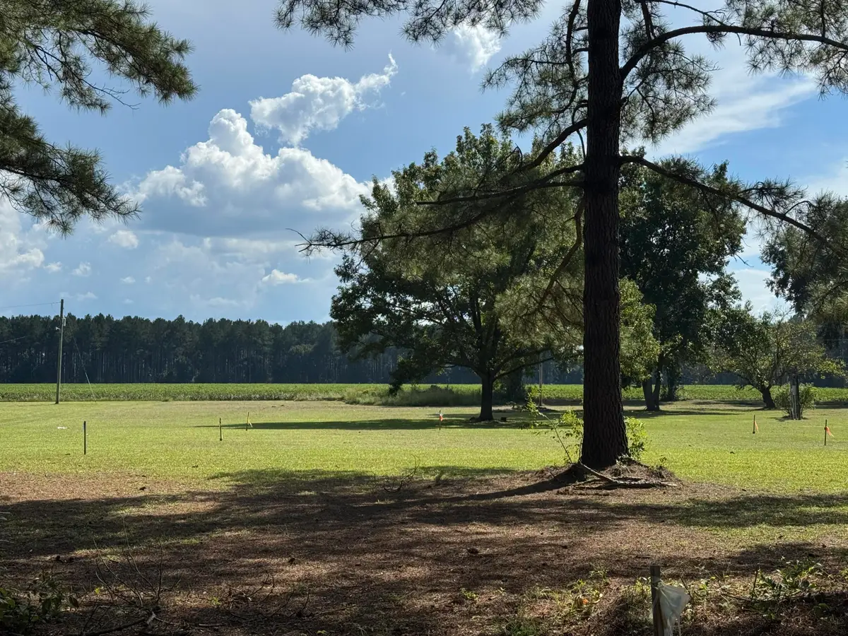 00 Caw Caw Swamp, Brunson, SC 29911 - #1