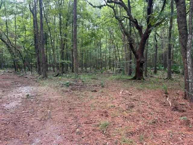 3771 Belvedere Road, Johns Island, SC 29455 - #2