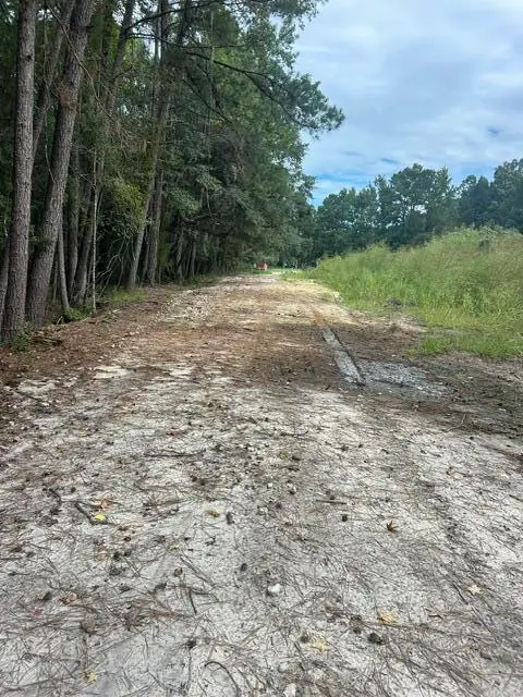 3771 Belvedere Road, Johns Island, SC 29455 - #3