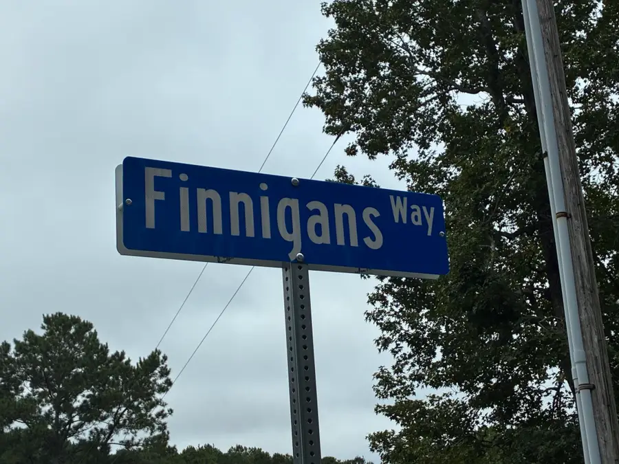 1044 Finnigans Way, Awendaw, SC 29429 - #3