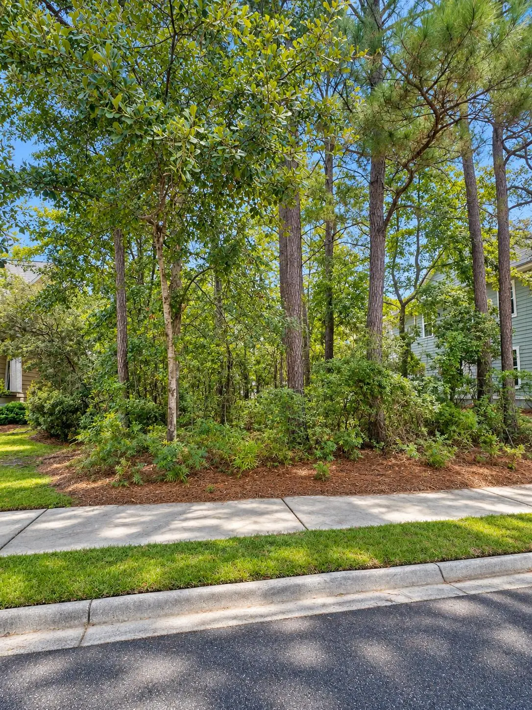 116 Red Bay Lane, Summerville, SC 29483 - #1